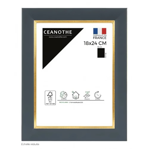 CADRE 18X24 HADES BLEU DORE