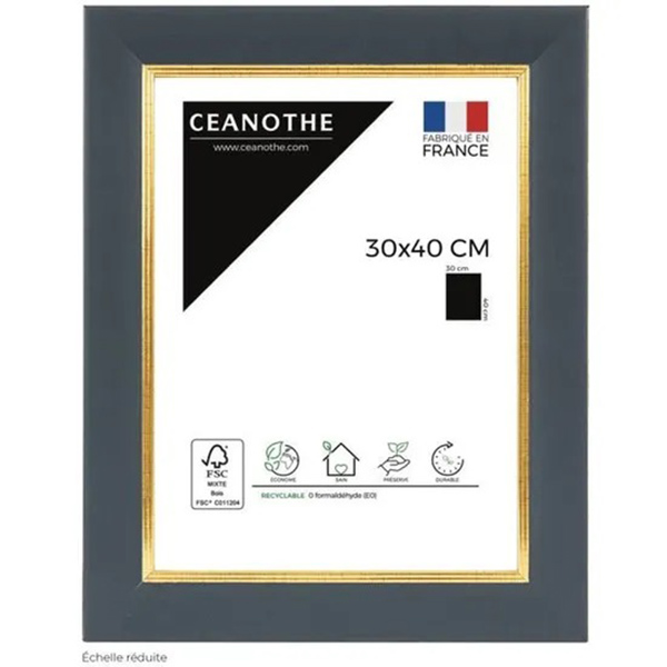 CADRE 30X40 HADES BLEU DORE