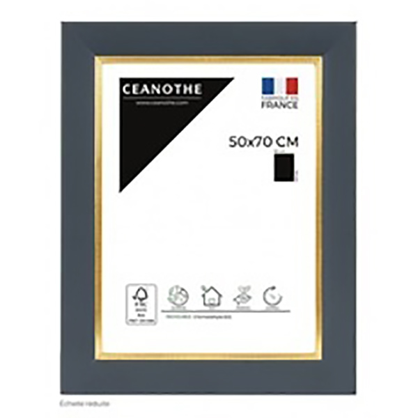 CADRE 50X70 HADES BLEU DORE