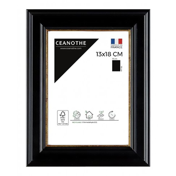 CADRE 13X18 GAIA NOIR DORE