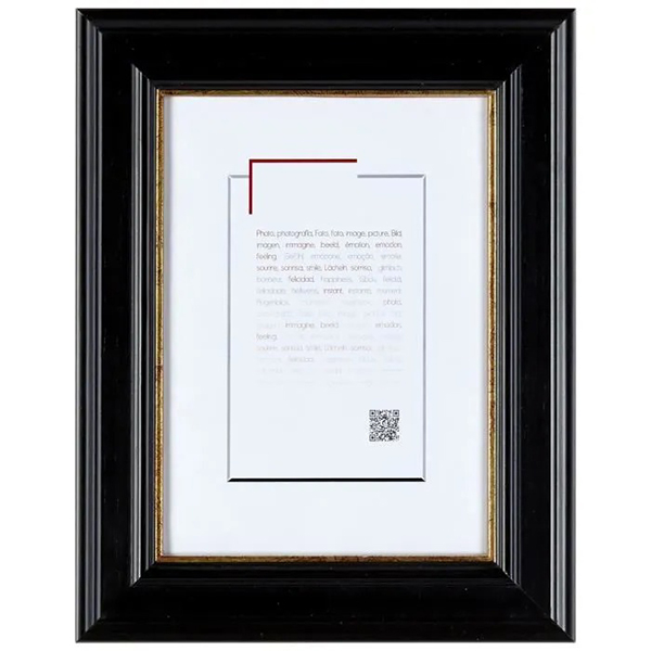 CADRE 18X24 GAIA NOIR DORE