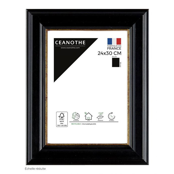 CADRE 24X30 GAIA NOIR DORE