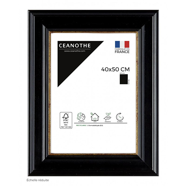 CADRE 40X50 GAIA NOIR DORE