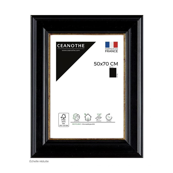 CADRE 50X70 GAIA NOIR DORE