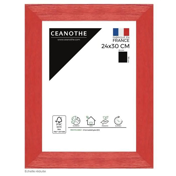 CADRE 24X30 TUTTI FRUTTI CERI