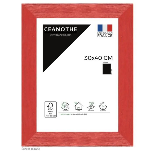 CADRE 30X40 TUTTI FRUTTI CERI