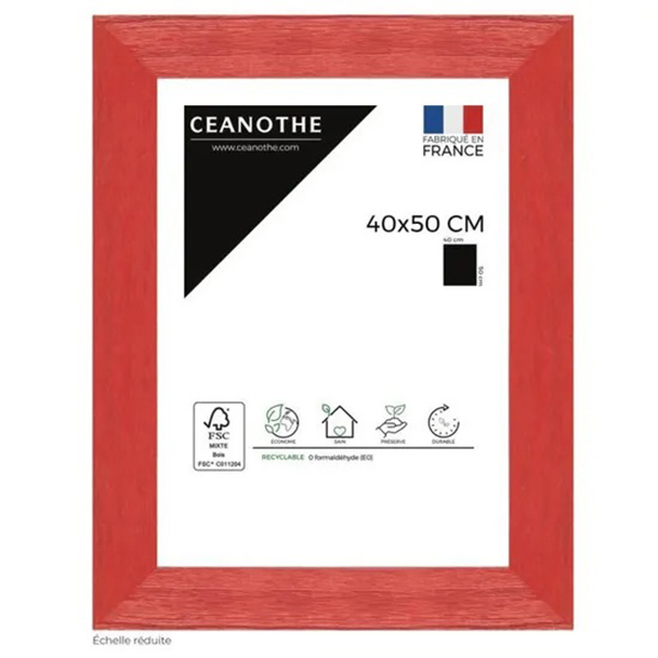 CADRE 40X50 TUTTI FRUTTI CERI