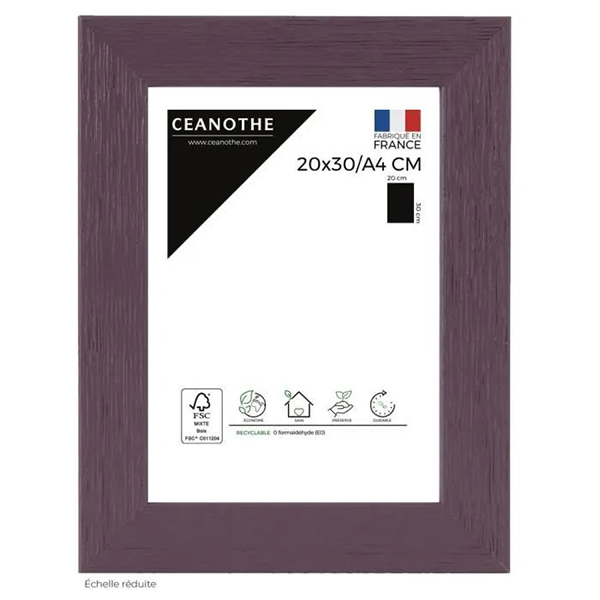 CADRE 20X30/A4 TUTTI FR. FIGU