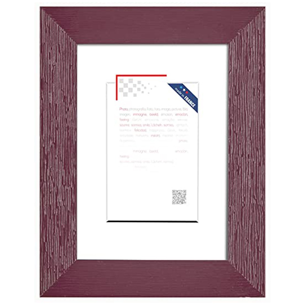 CADRE 24X30 TUTTI FRUTTI FIGU