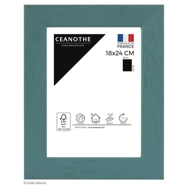 CADRE 18X24 TUTTI FRUTTI MENT