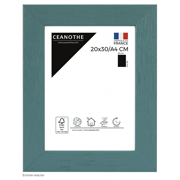 CADRE 20X30/A4 TUTTI FR MENTH