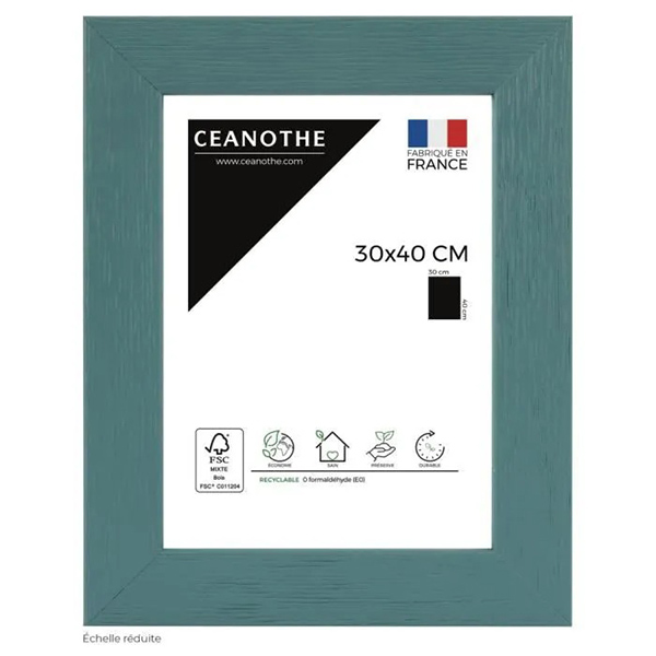 CADRE 30X40 TUTTI FRUTTI MENT