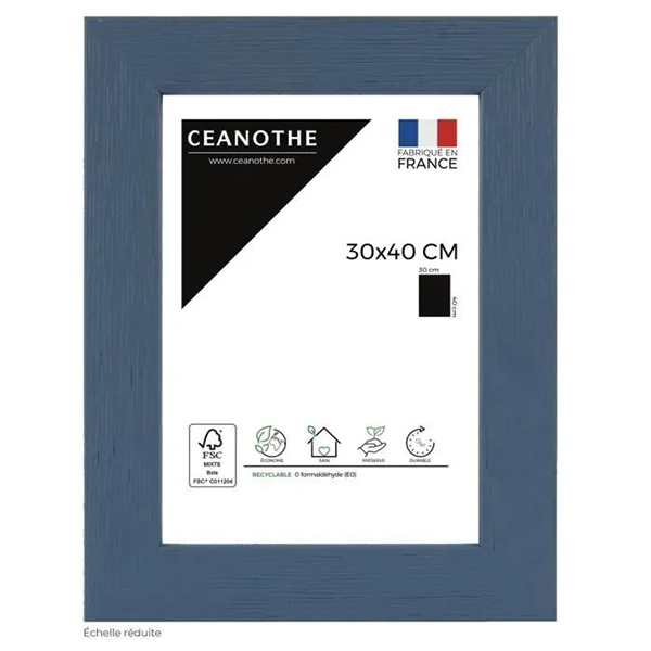 CADRE 30X40 TUTTI FRUTTI MYRT