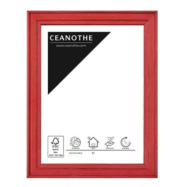 CADRE 10X15 BELLE ILE ROUGE
