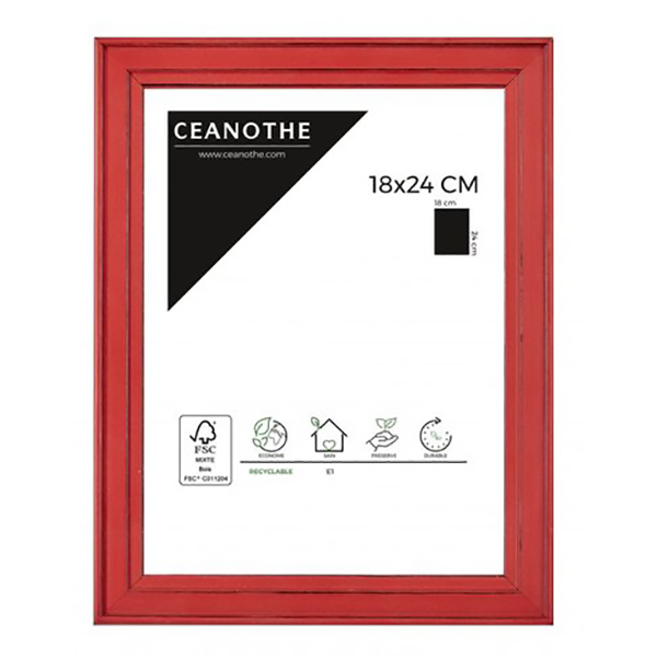 CADRE 18X24 BELLE ILE ROUGE