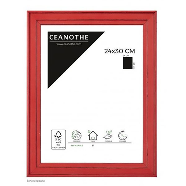 CADRE 24X30 BELLE ILE ROUGE