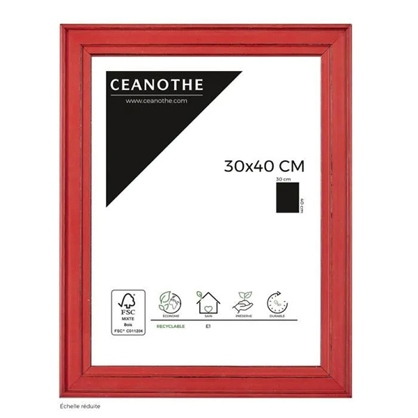 CADRE 30X40 BELLE ILE ROUGE