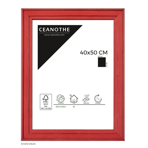 CADRE 40X50 BELLE ILE ROUGE