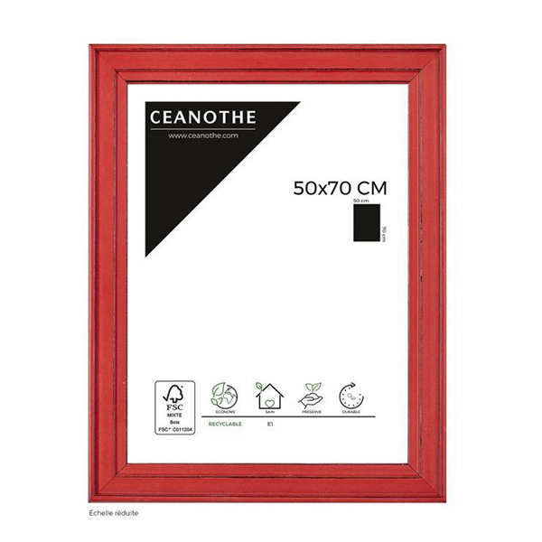 CADRE 50X70 BELLE ILE ROUGE