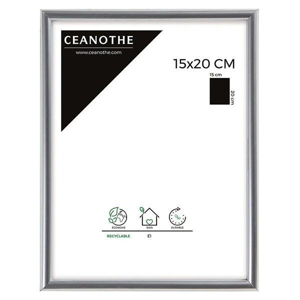 CM GALLERY ARGENT 15X20