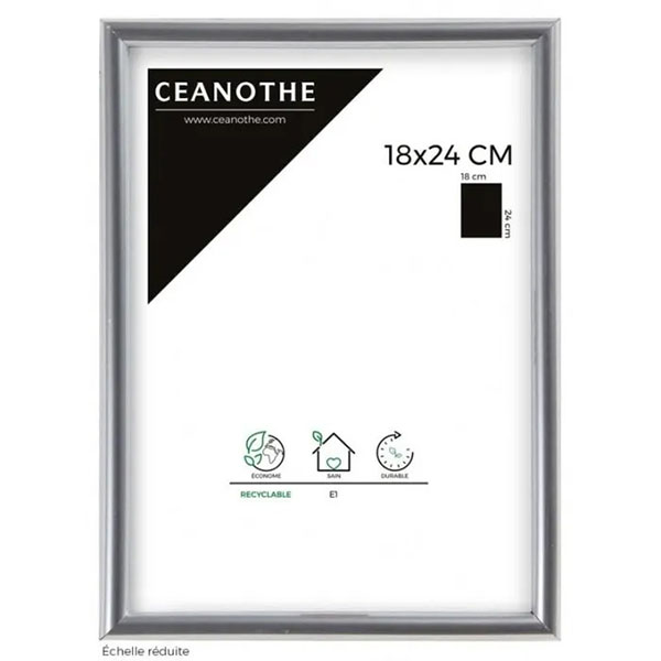 CM GALLERY ARGENT 18X24