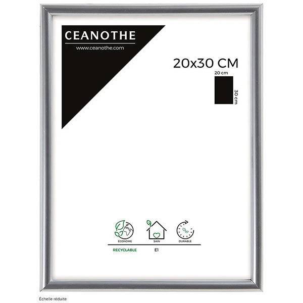 CM GALLERY ARGENT 20X30