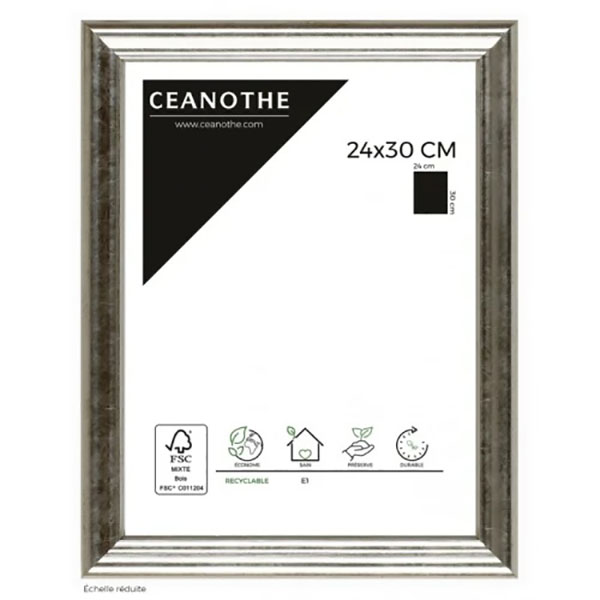 CM GALLERY ARGENT 24X30