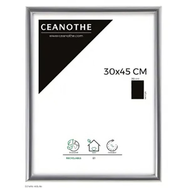 CM GALLERY ARGENT 30X45