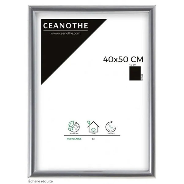 CM GALLERY ARGENT 40X50