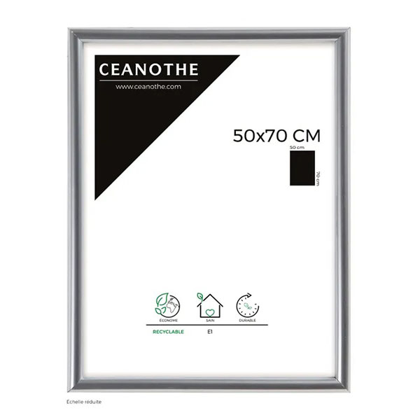CM GALLERY ARGENT 50X70