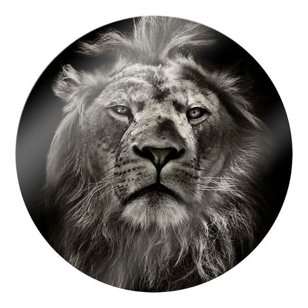 GLASSART ROND LION 25