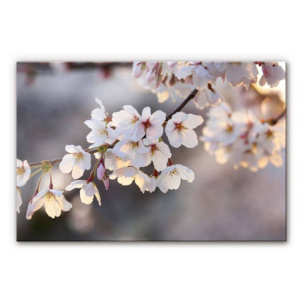 GLASSART 45X65 BRANCHE FLEUR