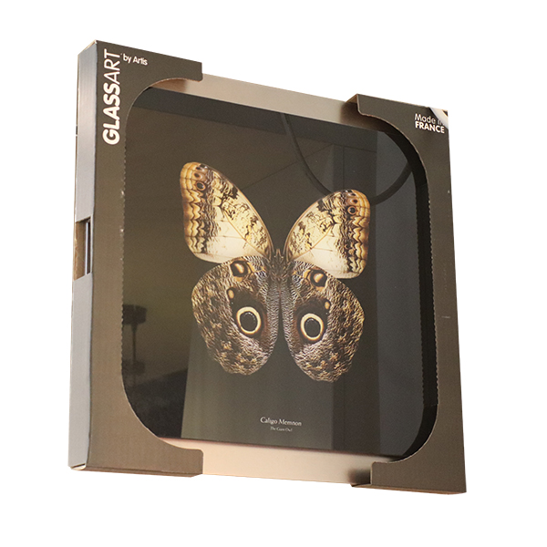 GLASSART 3D 45X45 CALIGO MEMN