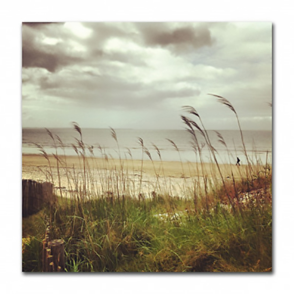 GLASSART 30X30 PLAGE &amp; ROSEAU
