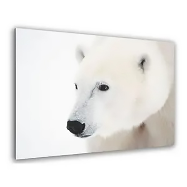 GLASSART 30X30 PORTRAIT OURS
