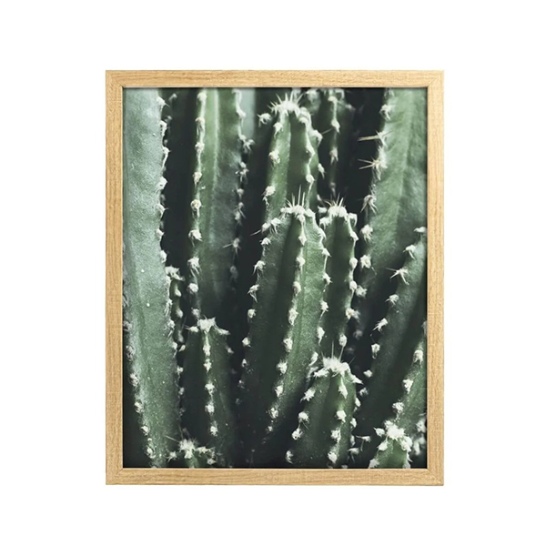 IMAGE ENCADREE 40X50CACTUS FSC