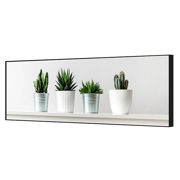 MATENCADRE 30X97 CHEMIN CACTU