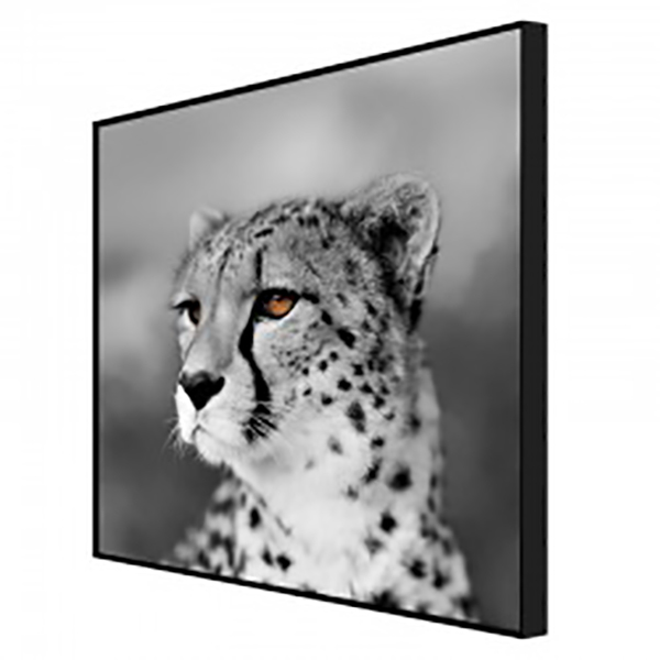 MATE 60X60 GUEPARD