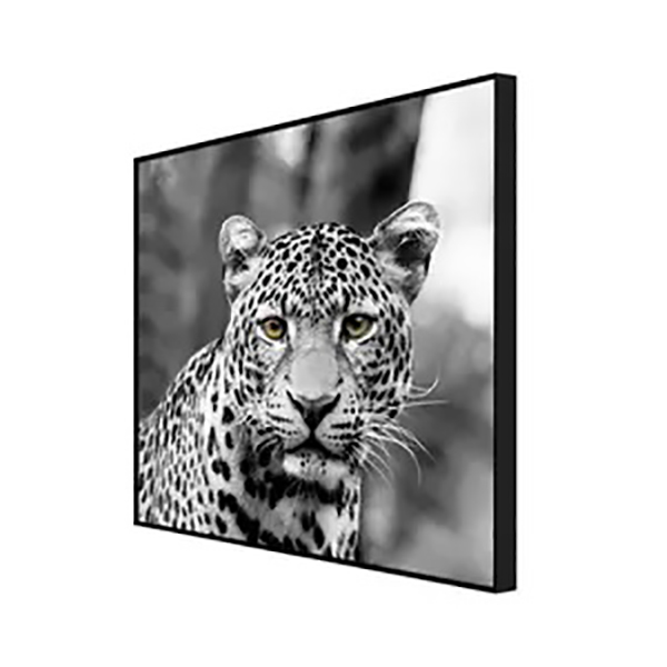 MATE 60X60 LEOPARD 3/4