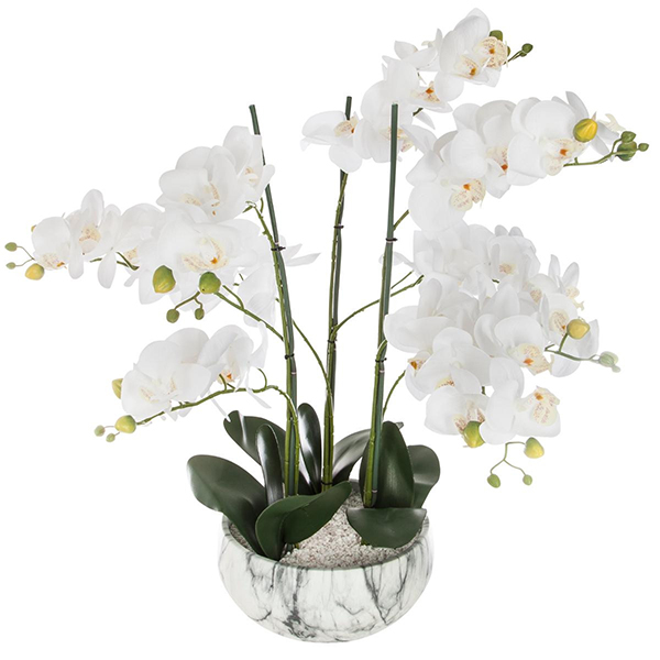 ORCHIDEE EN POT CIMENT COULEUR MARBRE H65
