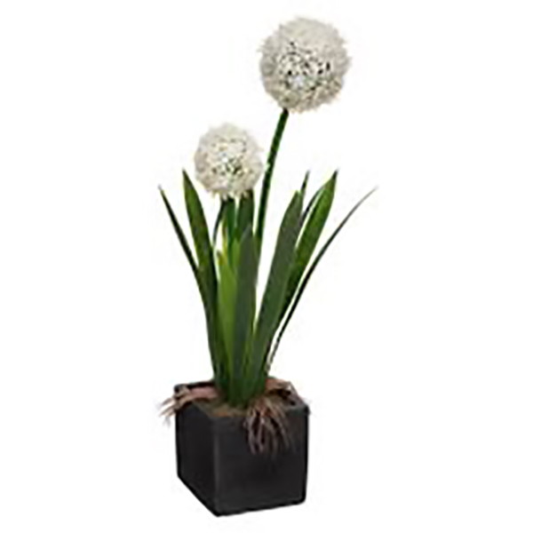 POMPON POT CIMENT H47