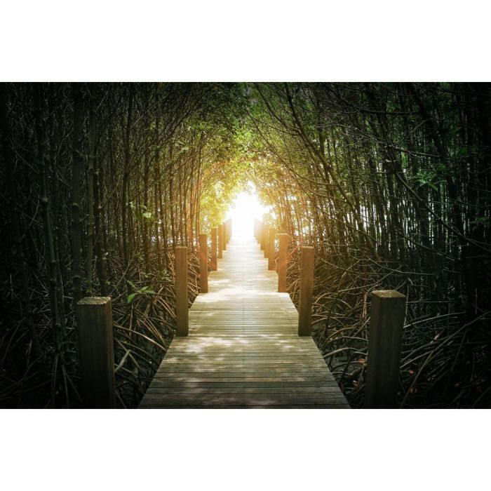 REGART 65X97 WOODEN BRIDGE