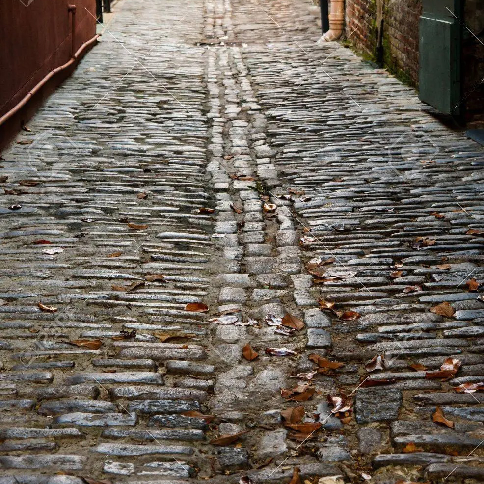 REGART 80X120 RUELLE PAVEE