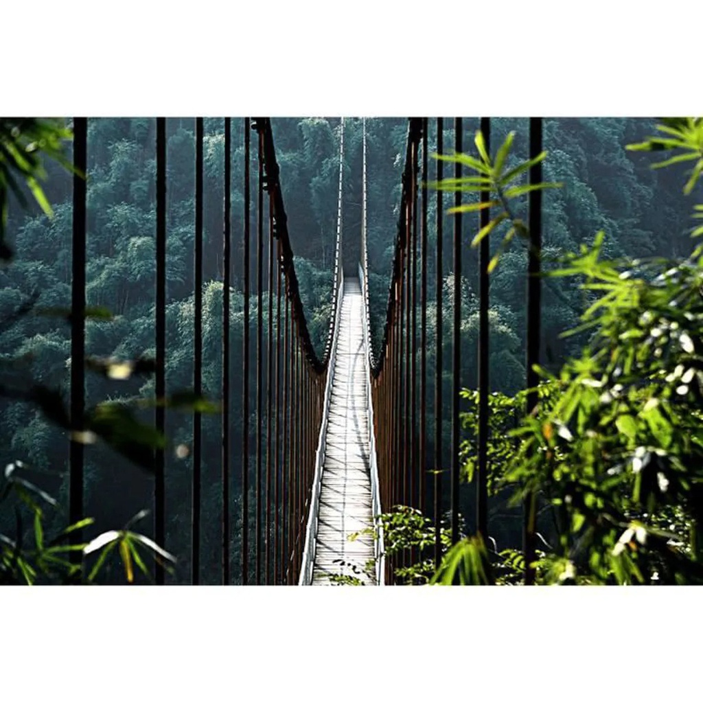 REGART 65X97 PONT SUSPENDU