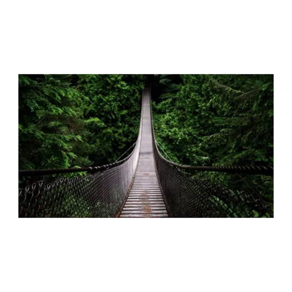 REGART 65X145 PONT DS JUNGLE