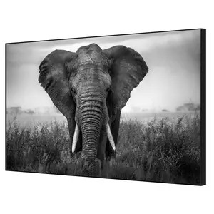 REGART 65X97 ELEPHANT N&amp;B