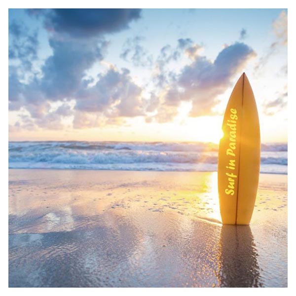 TOILE 30X30 PLANCHE DE SURF