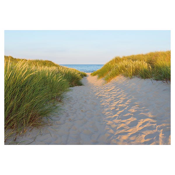 TOILE 45X65 SANDY PATH
