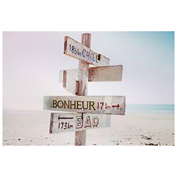 TOILE 45X65 PANNEAU BONHEUR
