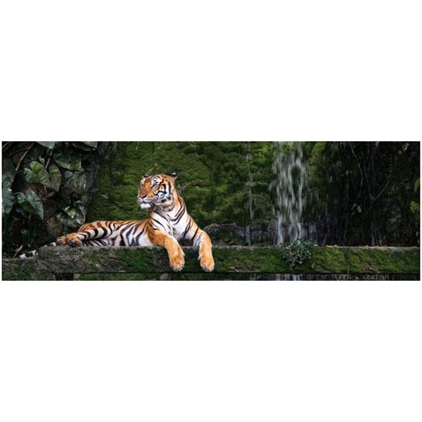 TOILE 30X97 TIGRE DU BENGALE